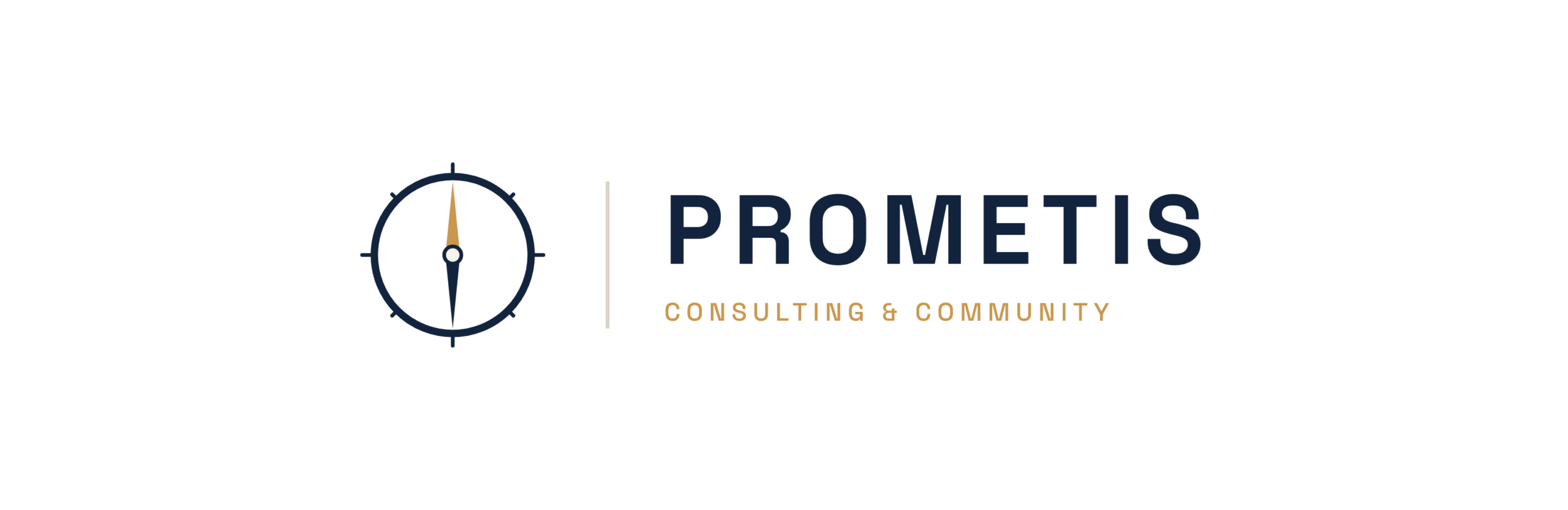 Prometis Consulting & Community